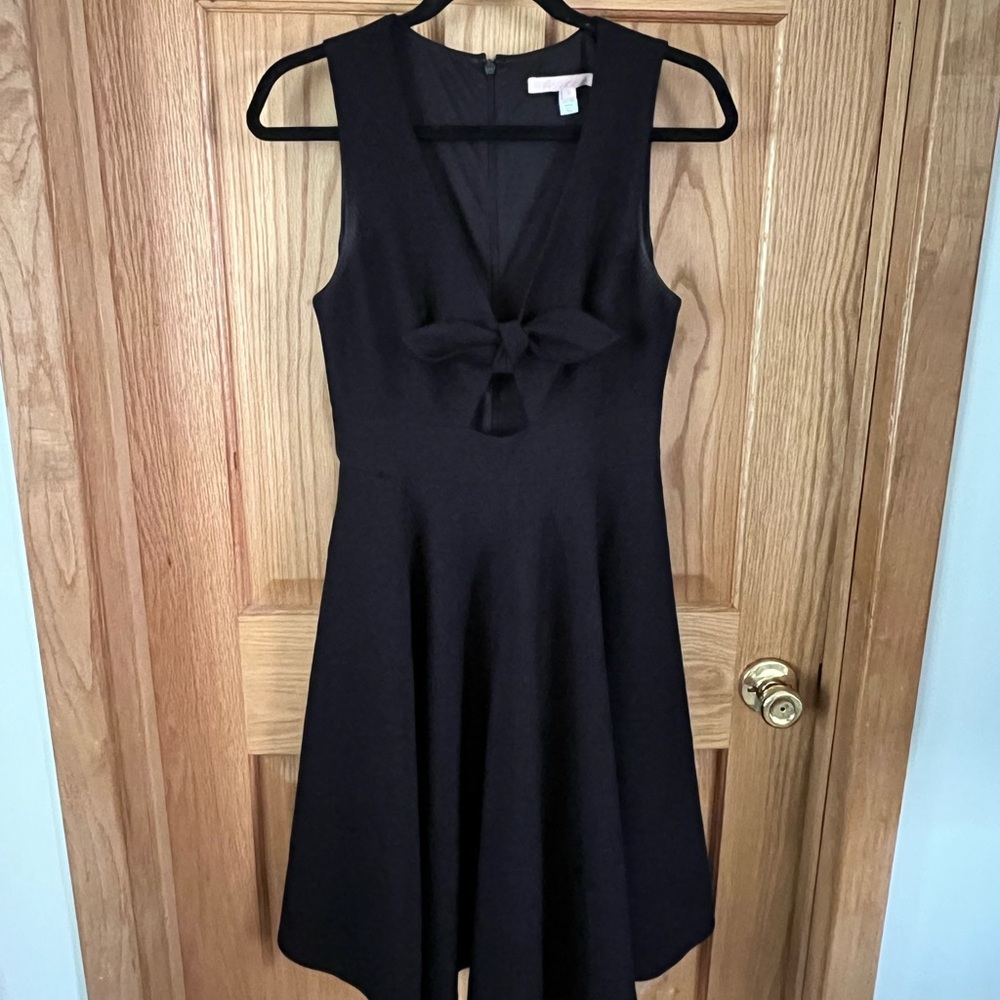 Hutch Black Sleeveless a line Dress